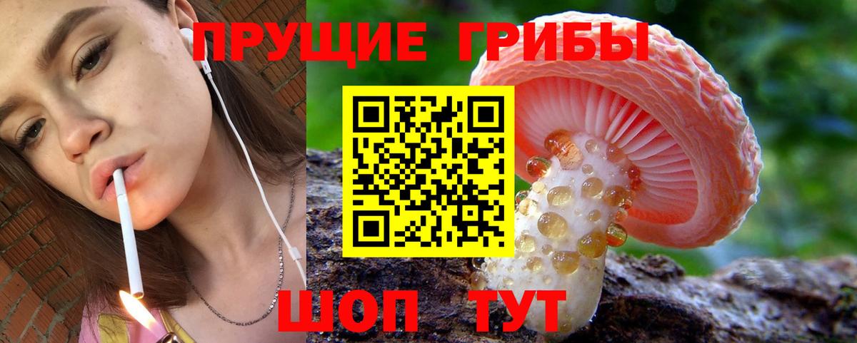 Галлюциногенные грибы мухоморы Гусь-Хрустальный