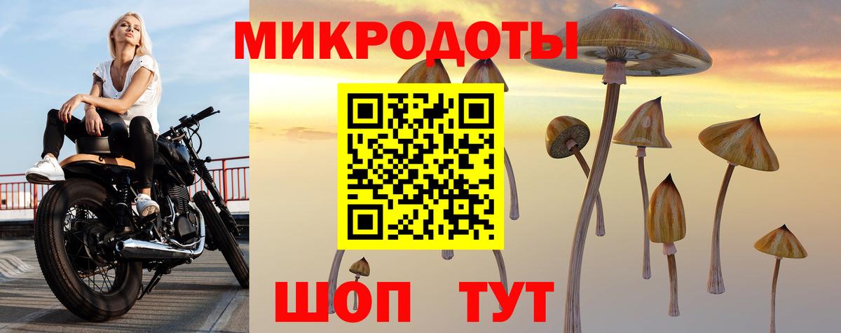 Галлюциногенные грибы GOLDEN TEACHER  Галлюциногенные грибы мицелий  Гусь-Хрустальный  Вход с VPN 